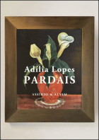 Imagem de capa local