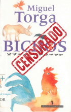 Imagem de capa local