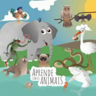 Imagem de capa local